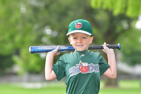 TBTincaps016