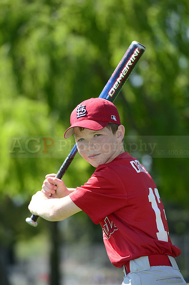 AAA Cards073