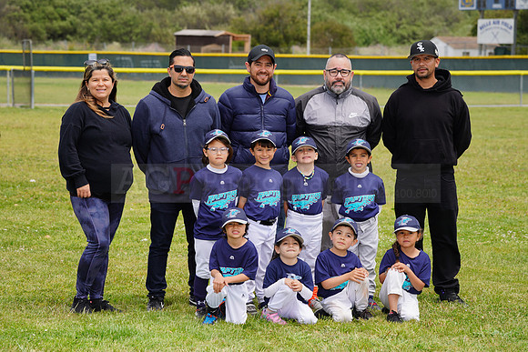 AGP09228
