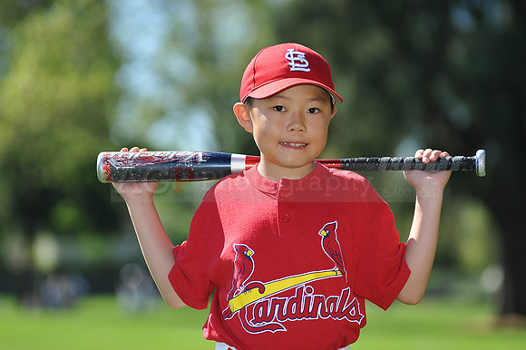 AA_Cardinals022
