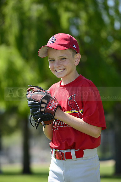 AAA Cards088