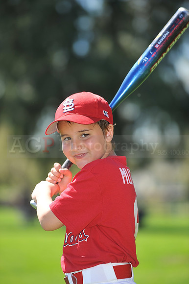 A_Cardinals109