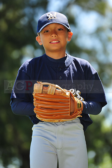AA Brewers075
