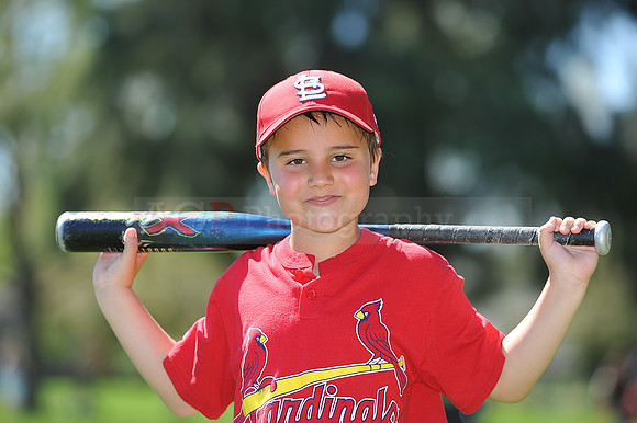 A_Cardinals111
