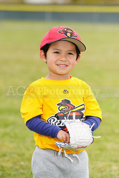 AGP08927