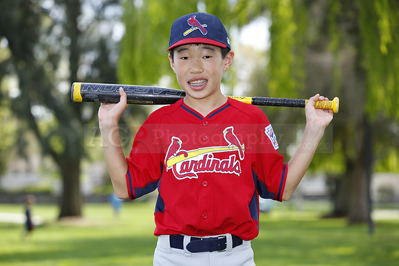 MCardinals017