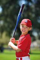 A_Cardinals017