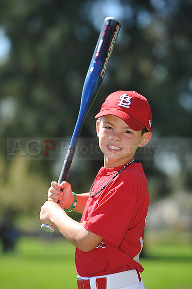 A_Cardinals017