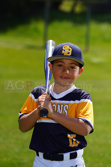 SB_PW_Lions031