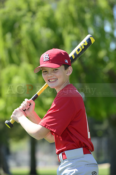 AAA Cards082