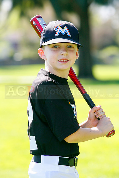 TBMarlins033