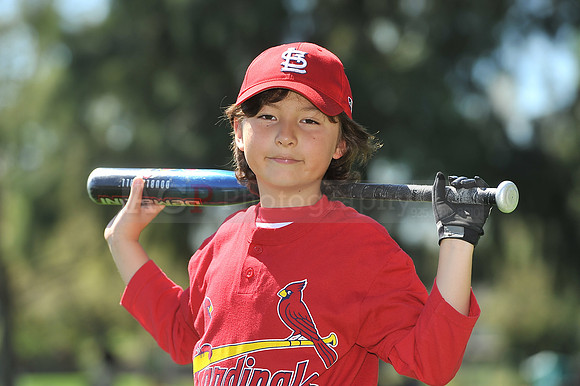 A_Cardinals084