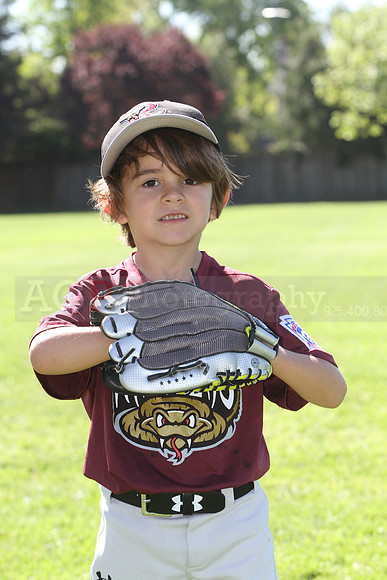 FMTimberRattlers002