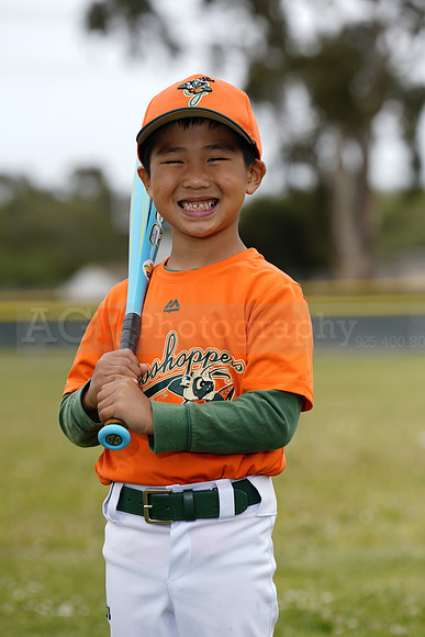 TBGrasshoppers00119
