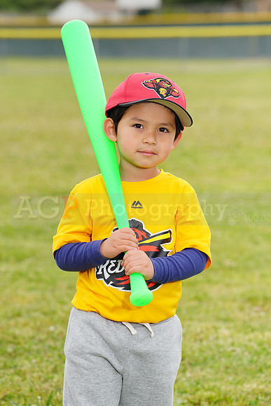 AGP08930
