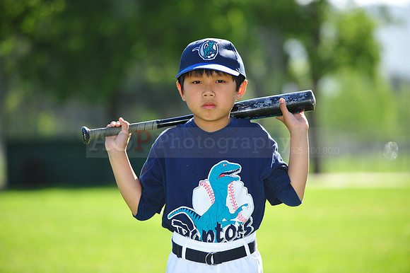ARaptors071