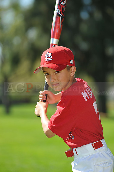 AA_Cardinals027
