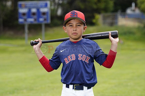 PWRedSox00100