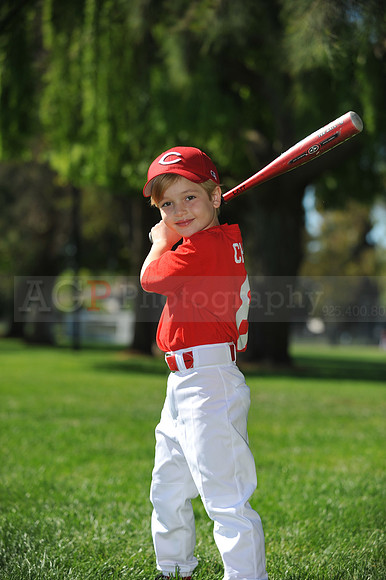 Farm_Reds066