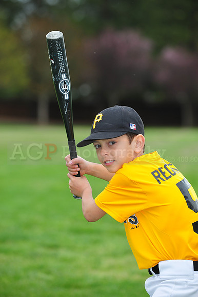AAAPirates017