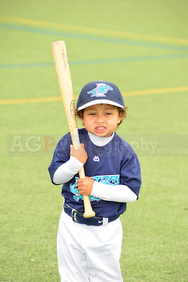 SB_TB_Raptors00108