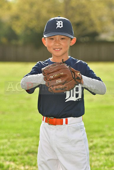 AATigers002