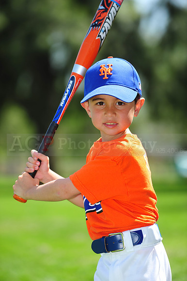 Farm_Mets029