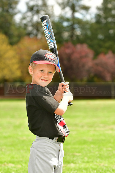 FMMudcats019