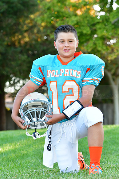 Dolphins080