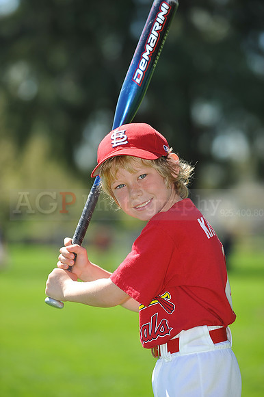 A_Cardinals099