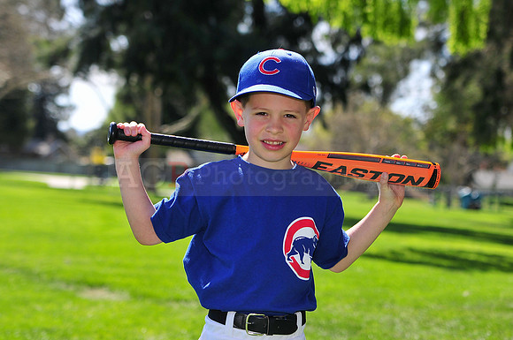 FMCubs024