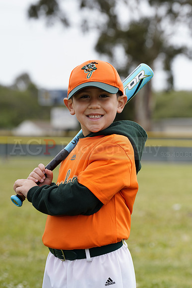 TBGrasshoppers00004