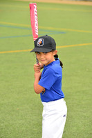 SB_TB_Ironbirds00015