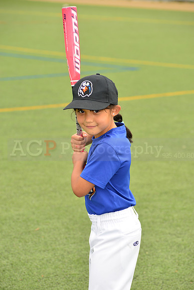 SB_TB_Ironbirds00015