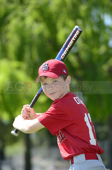 AAA Cards072