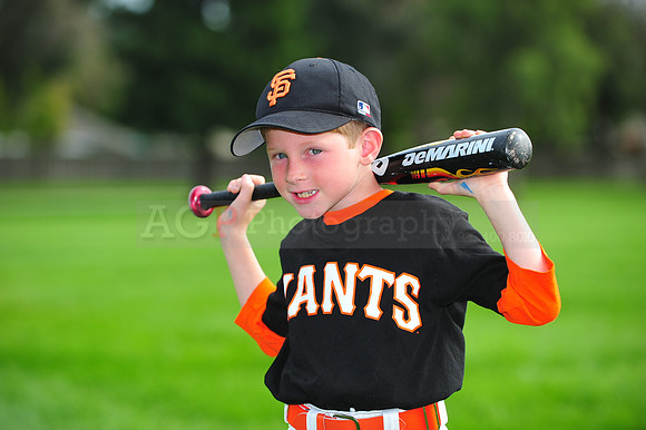 Farm_Giants120