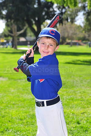 FMCubs033