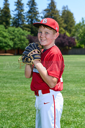 PLL_M_Cardinals00047