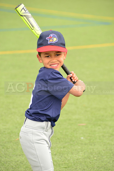 SB_TB_mudhens00017