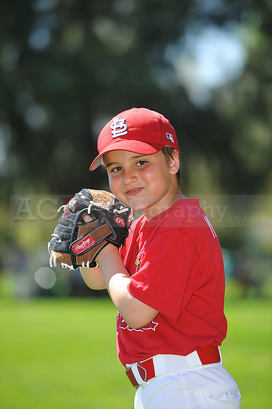 A_Cardinals105
