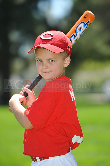 T-Ball_Reds039