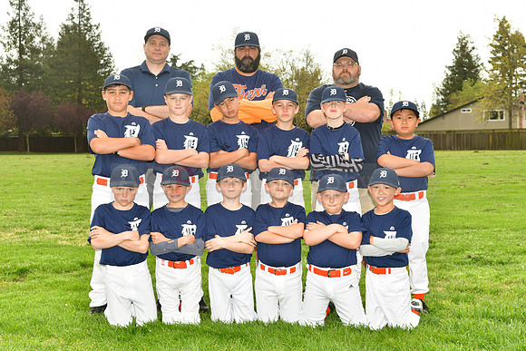 AATigers077