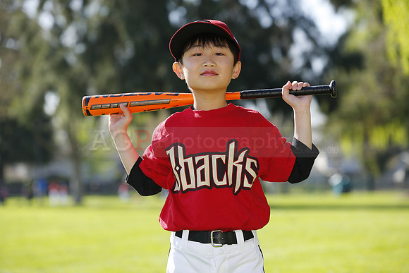 FMDBacks070