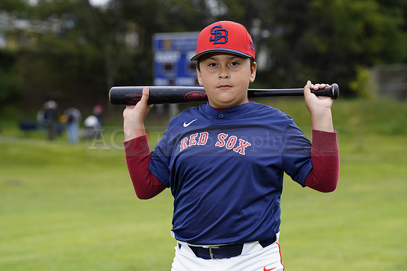 PWRedSox00051