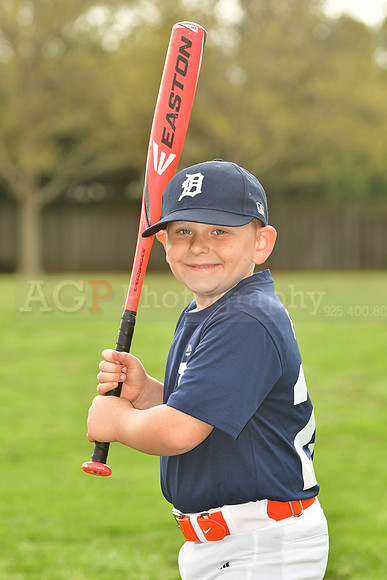 AATigers027