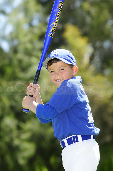 FarmDodgers065