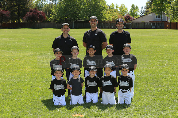 PLL_FM_Lugnuts00102