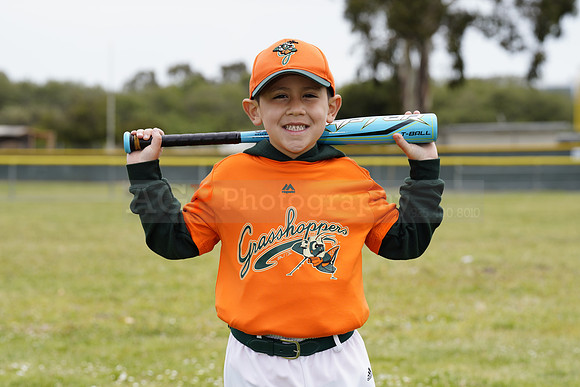 TBGrasshoppers00010
