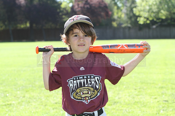 FMTimberRattlers006