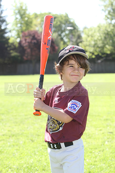 FMTimberRattlers009